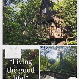 Chalet Woods